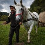 Apuseni Garda de Sus 06