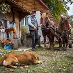 Apuseni Patrahaitesti 05