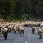 Romania razni 03