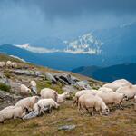 Bucegi 13