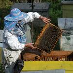 Honey House - Guest House_02