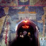 Arnota_Inside_View_Mural