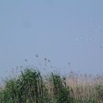 DSCF0012