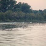 DSCF0023