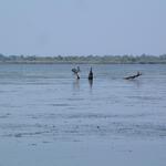 DSCF0011