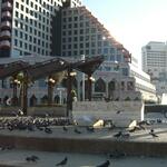 Tel-Aviv1