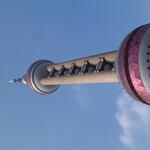 DSCF0001
