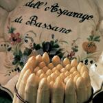 asparagi bianchi di Bassano