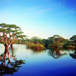 Laguna Cuyabeno