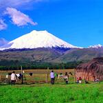 nevado chosa