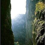 Bicaz
