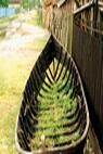 Romania_Danube_Delta_Boat_Near_Fence