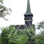 rozavlea