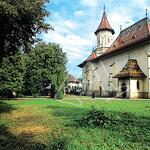 suceava